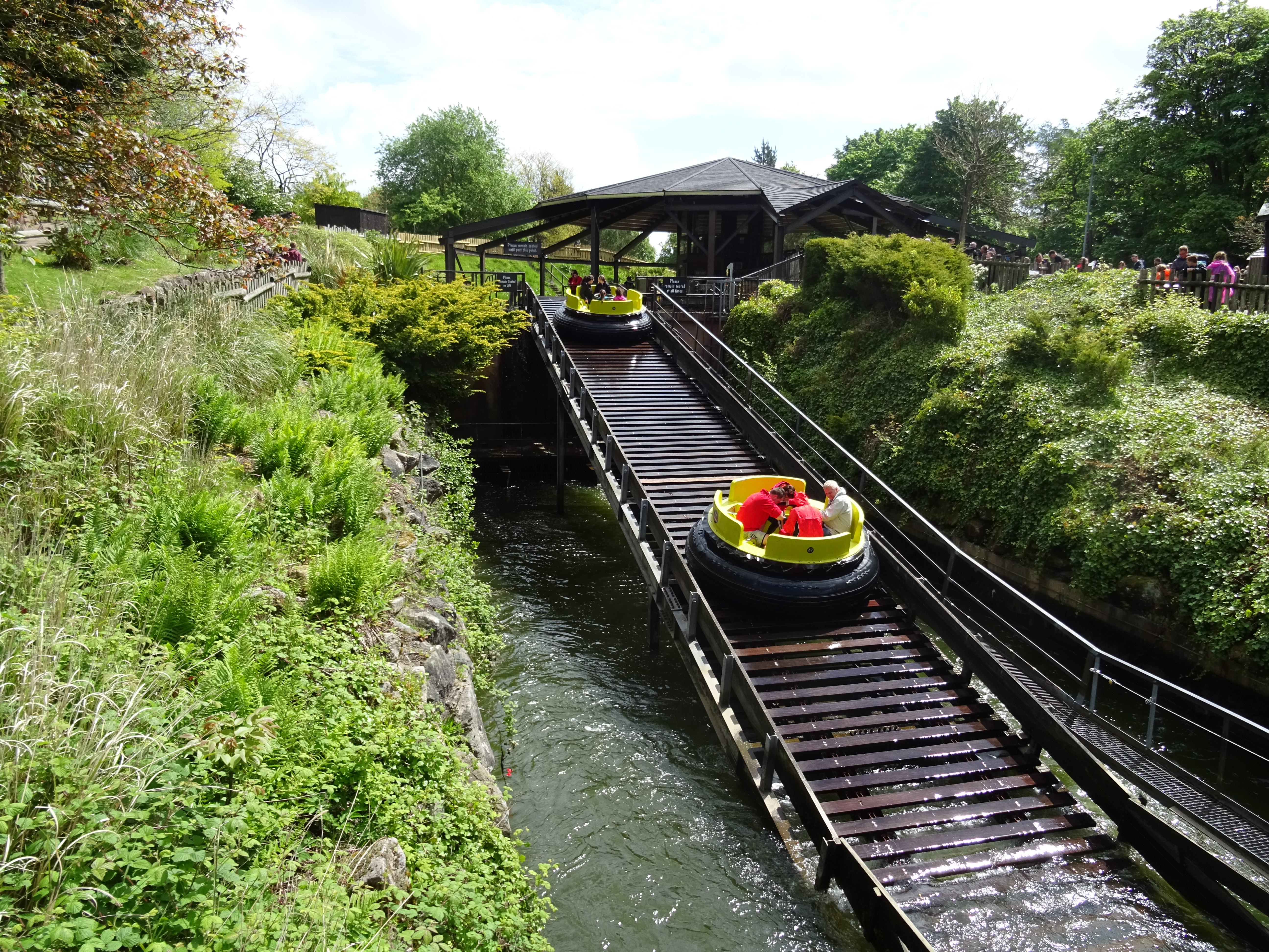 Congo River Rapids