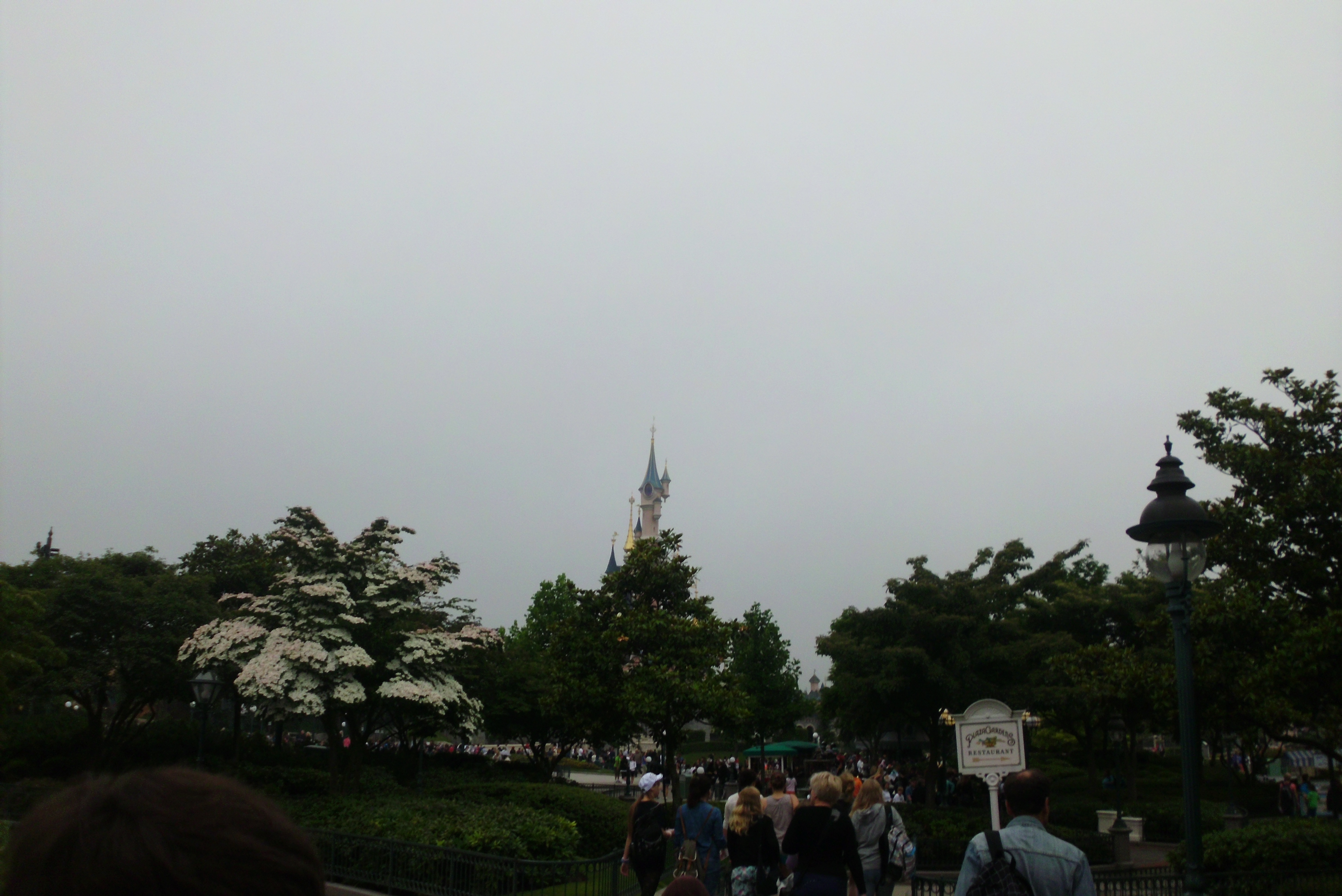 Sleeping Beauty Castle