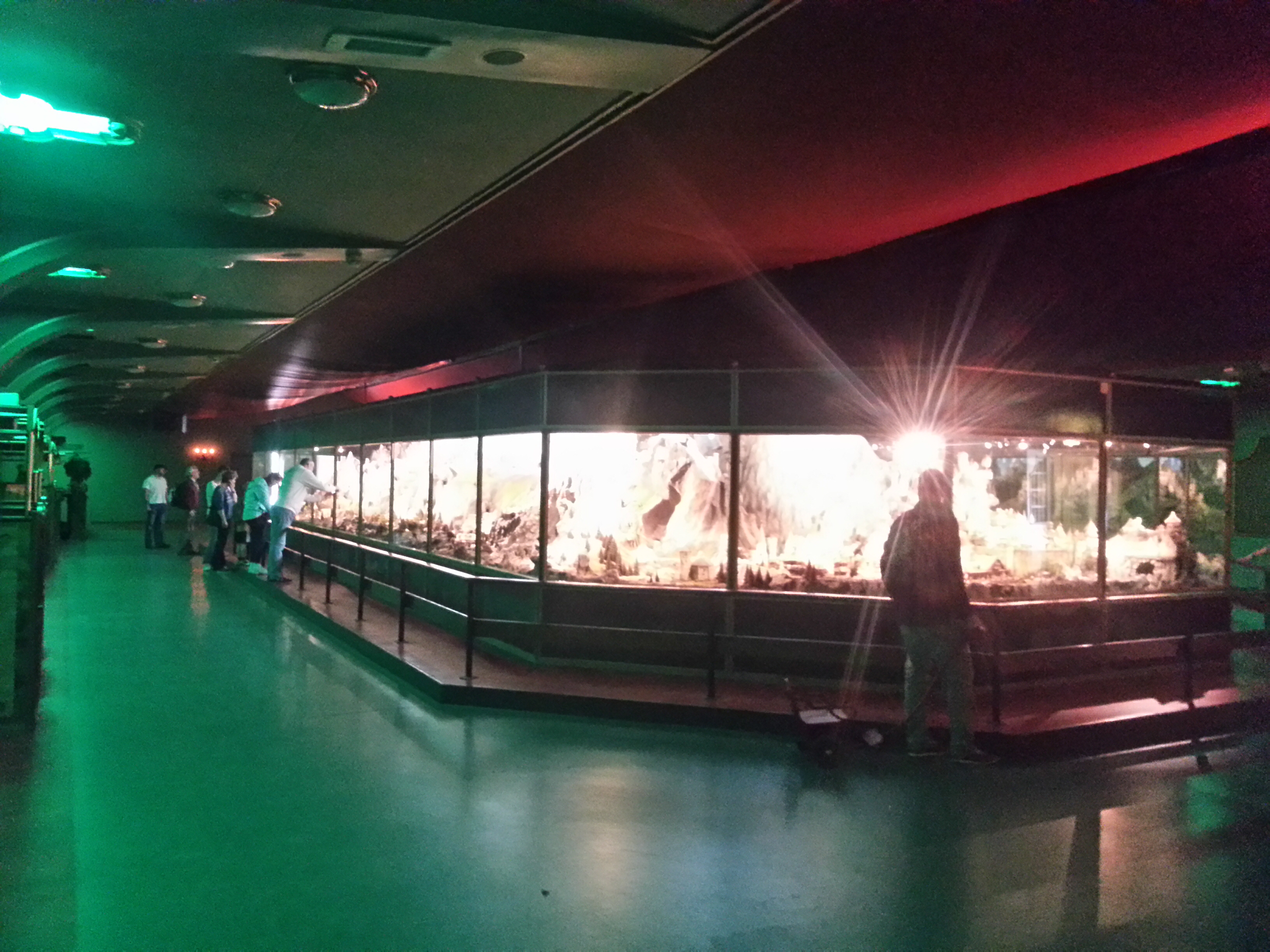 Diorama