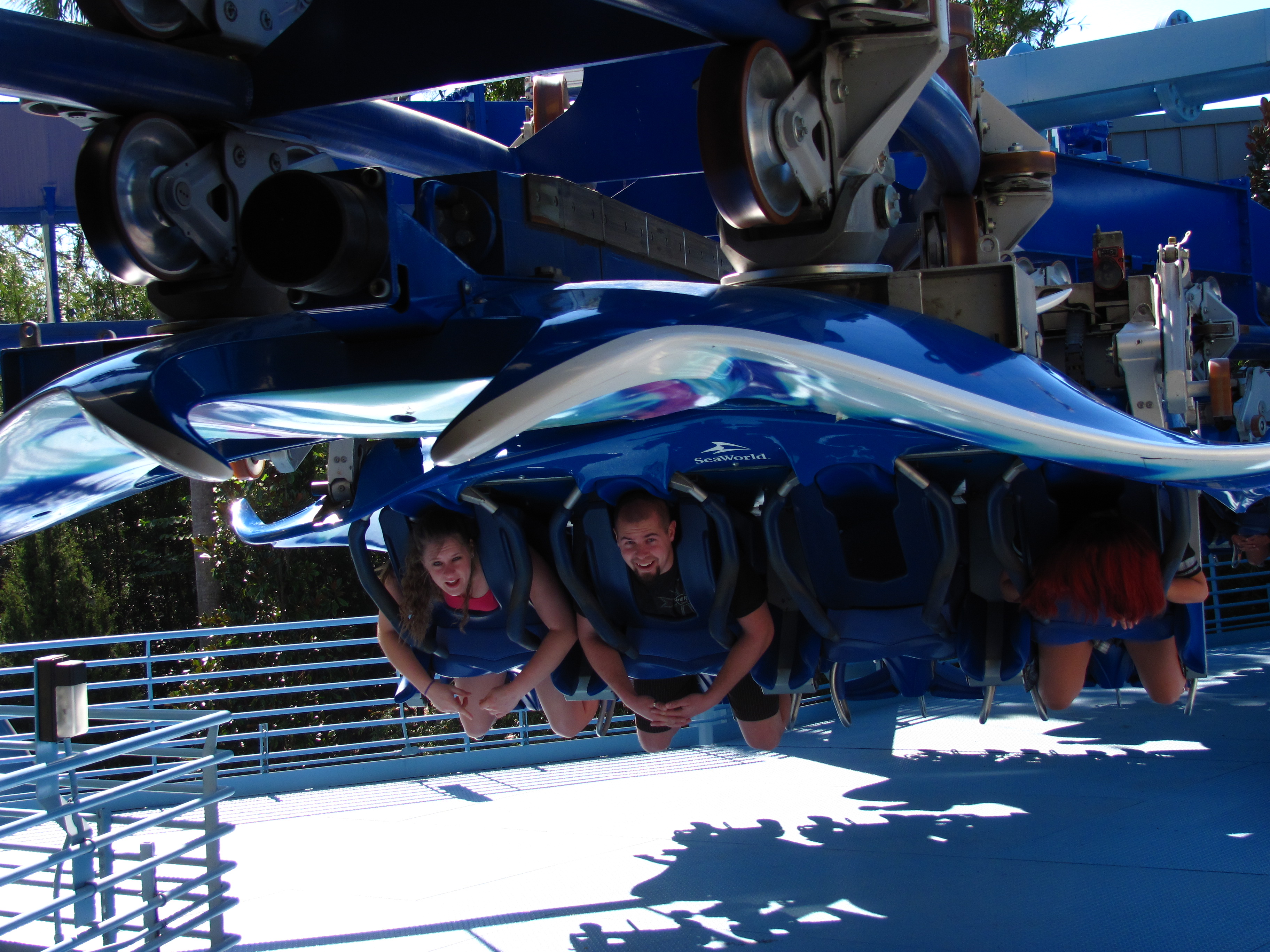 Manta