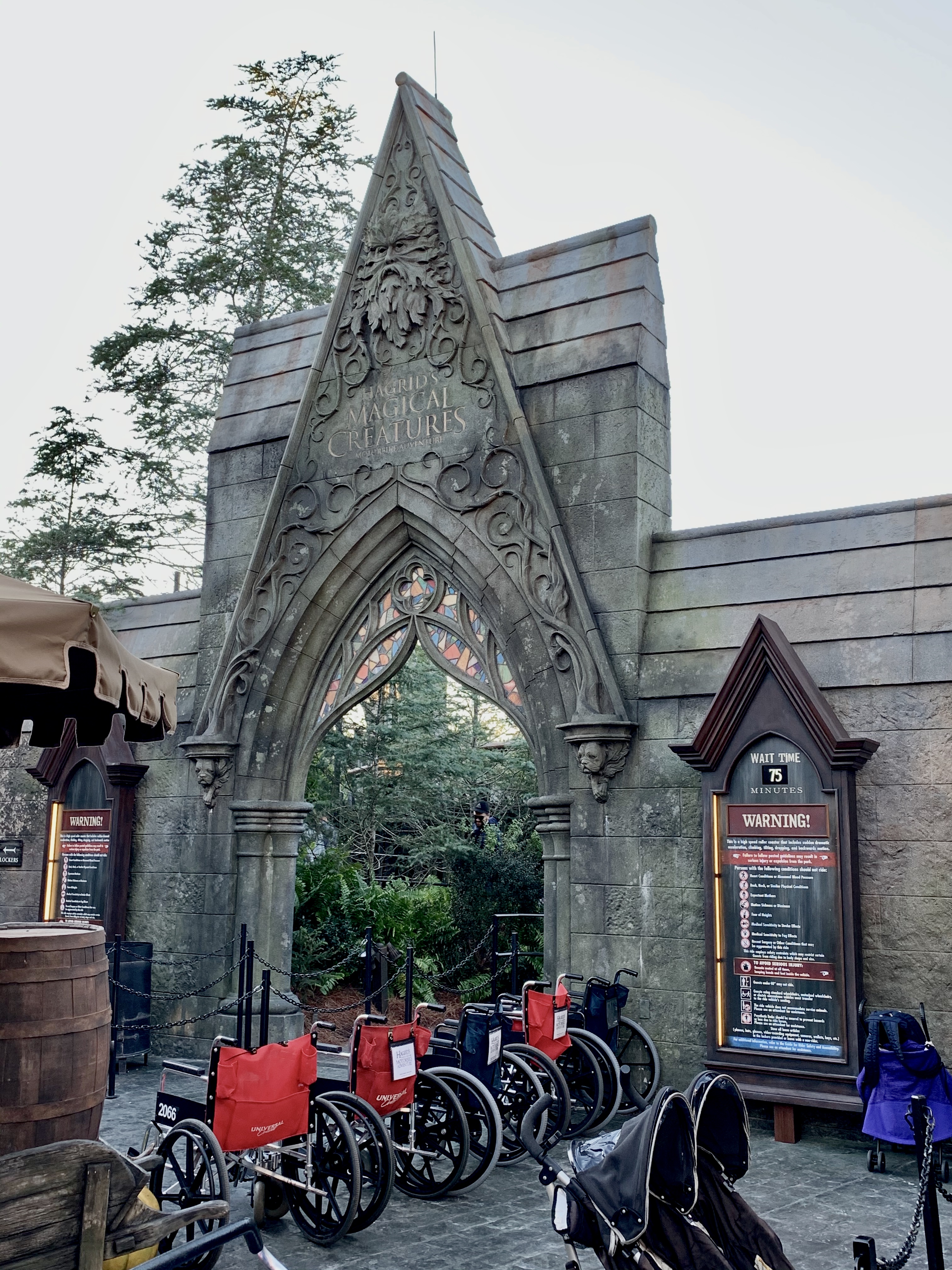 Hagrid's Magical Creatures Motorbike Adventure™