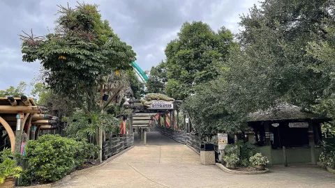Busch Gardens Tampa