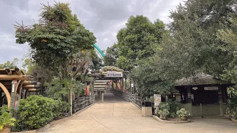 Busch Gardens Tampa