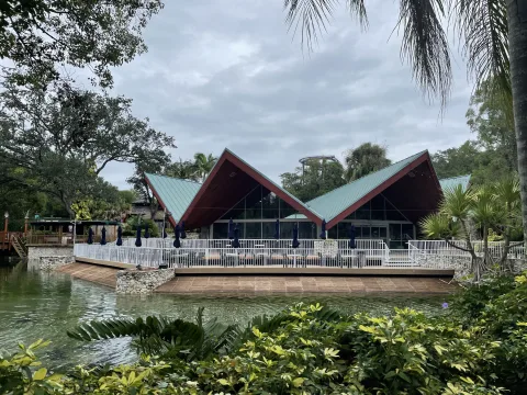 Foto 2 av Busch Gardens Tampa