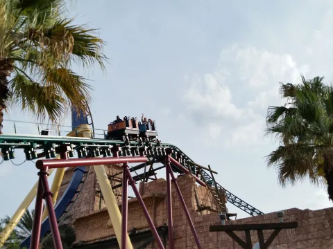 Zdjęcie 4 autorstwa Cobra's Curse