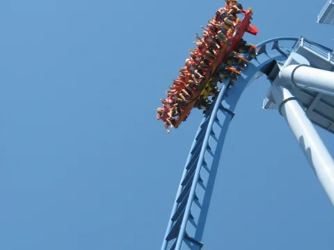 Foto 2 av Griffon