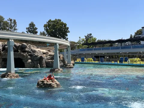 Foto 2 von Finding Nemo Submarine Voyage