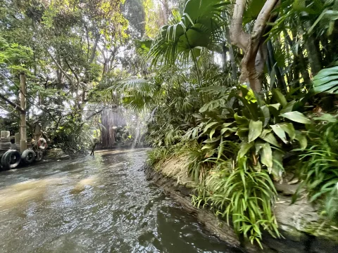 Foto 2 von Jungle Cruise