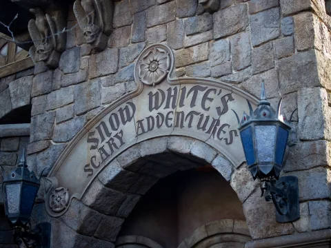 Foto 2 van Snow White's Enchanted Wish