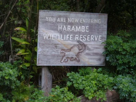 Foto 2 av Kilimanjaro Safaris