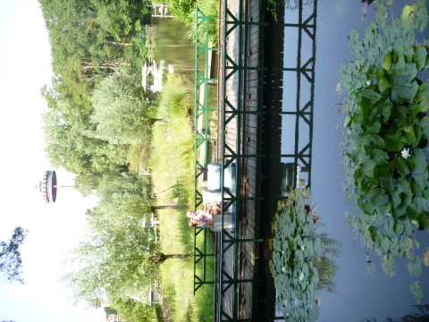 Foto 2 av Kinderspoor