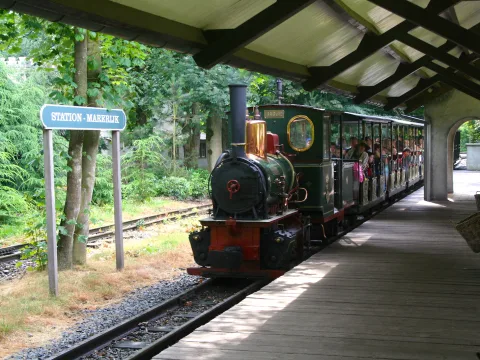 Foto 3 af Stoomtrein - Marerijk