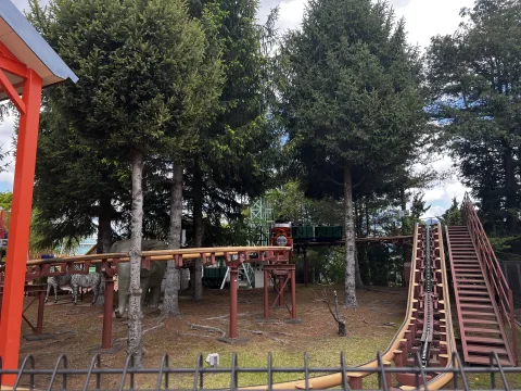 Photo 2 de Nia and Animal Coaster