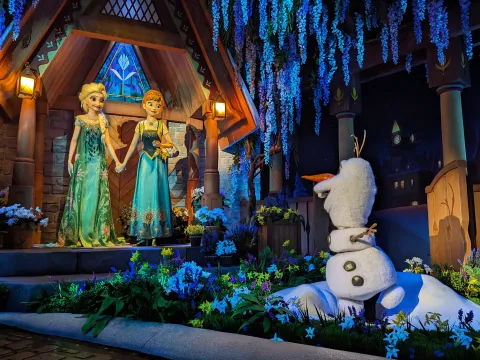 Foto 3 av Frozen Ever After – Presented by Blue Cross
