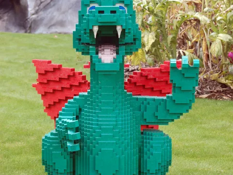 Foto 2 von The Dragon