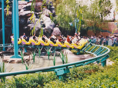 Photo 3 de Flounder's Flying Fish Coaster