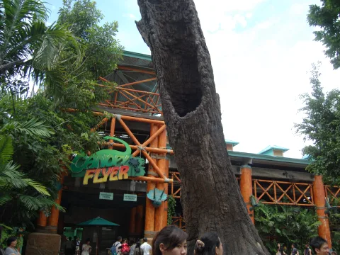 Foto 2 de Canopy Flyer™