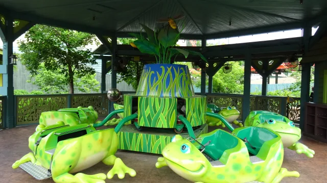 Frogs & Fireflies