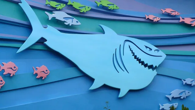 Bruce's Shark World