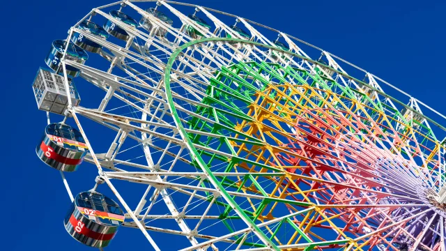 Shining Flower Ferris Wheel