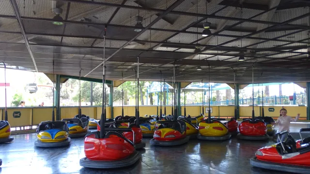 Wheeler Dealer Bumper Cars