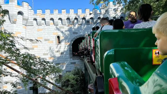 The Dragon
