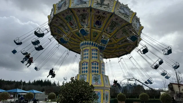 The Sky Swinger