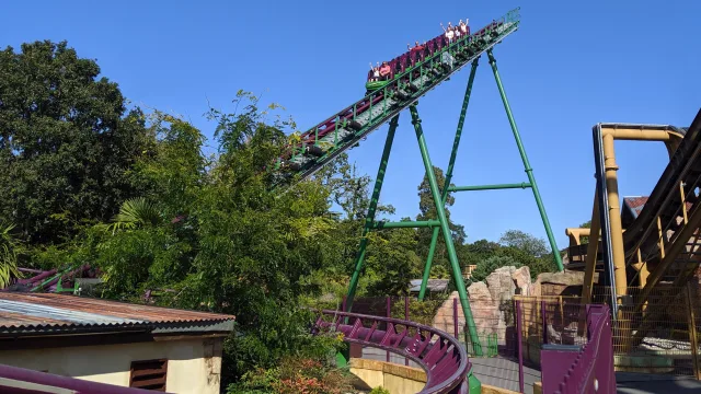 Velociraptor
