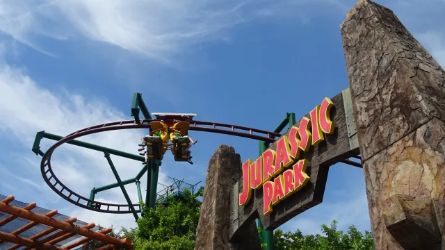 Canopy Flyer™