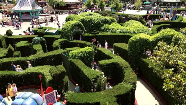 Alice's Curious Labyrinth