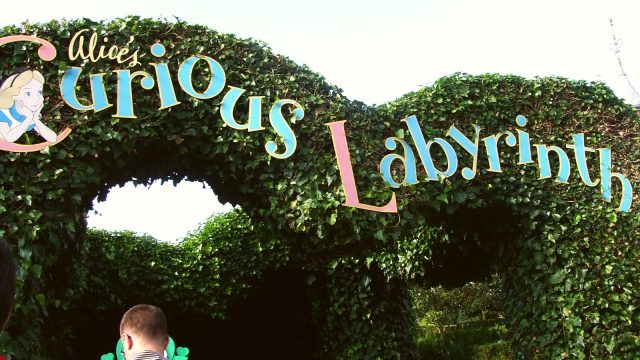 Alice's Curious Labyrinth