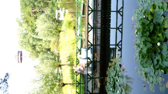 Kinderspoor