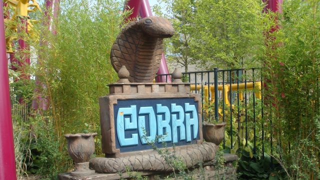 COBRA