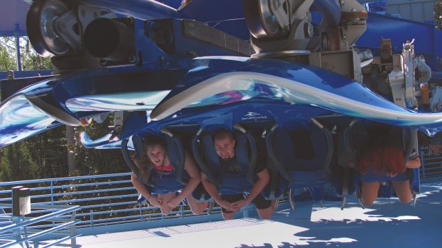 Manta