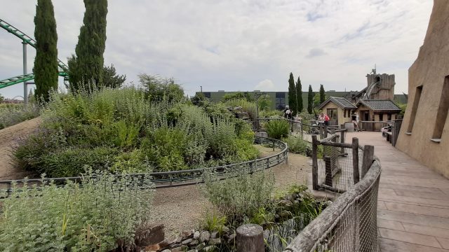 Paarden van Ithaka