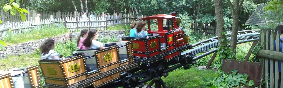 Runaway Mine Train
