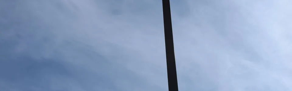 Aviktas