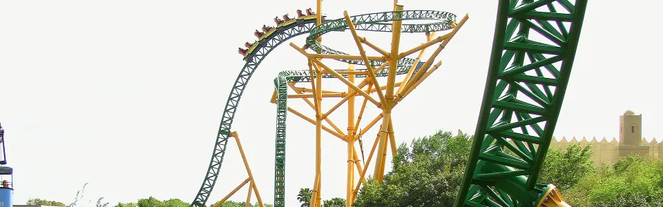Cheetah Hunt