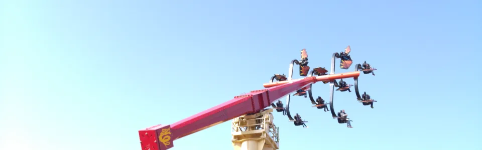Flying NINJAGO®