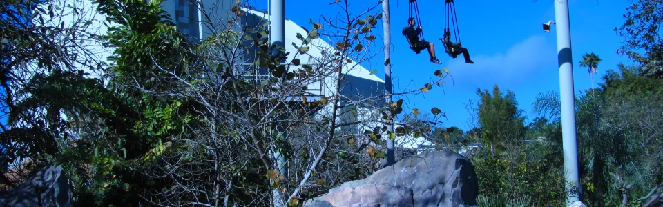 Pteranodon Flyers