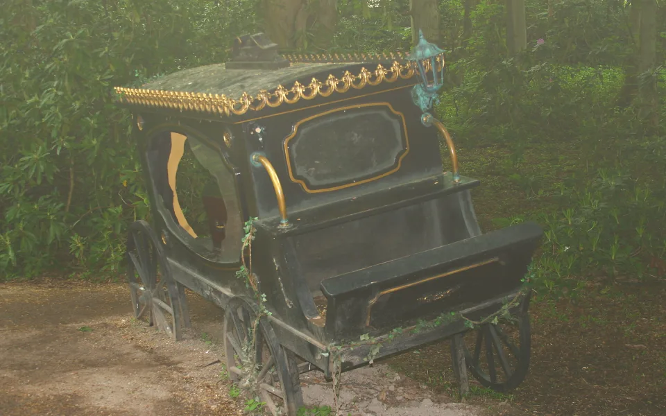 Photo 1 of Haunted Hollow