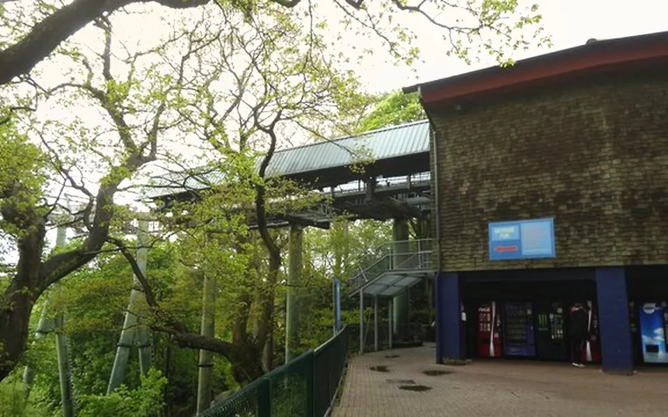 Foto 1 de Skyride to Towers St. (From Forbidden Valley)