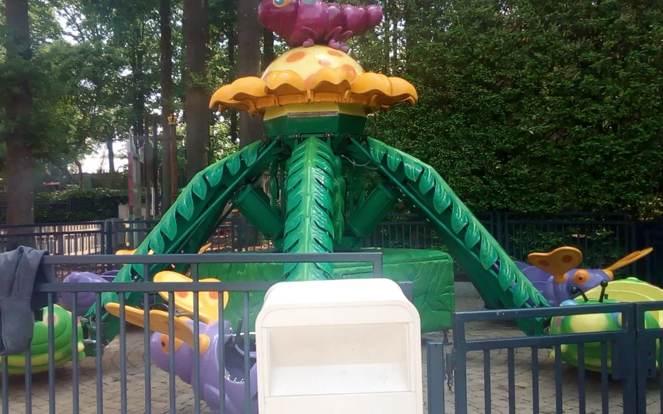 Foto 1 af Vlinders