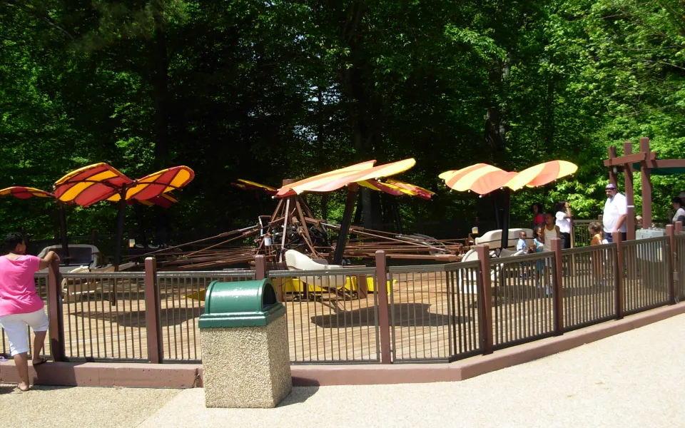 Photo 1 de The Little Gliders