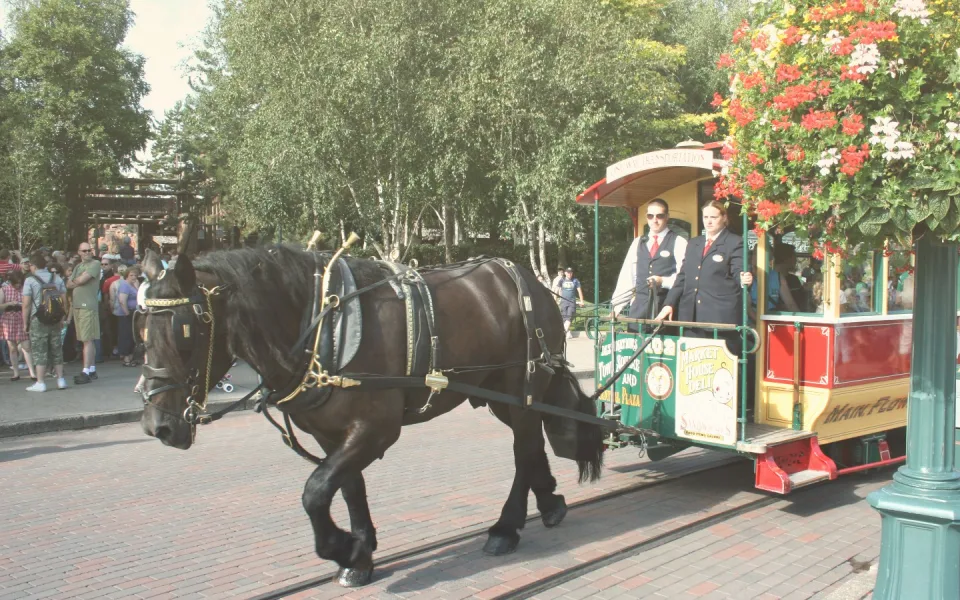 Photo 1 of Horse-Drawn Streetcars