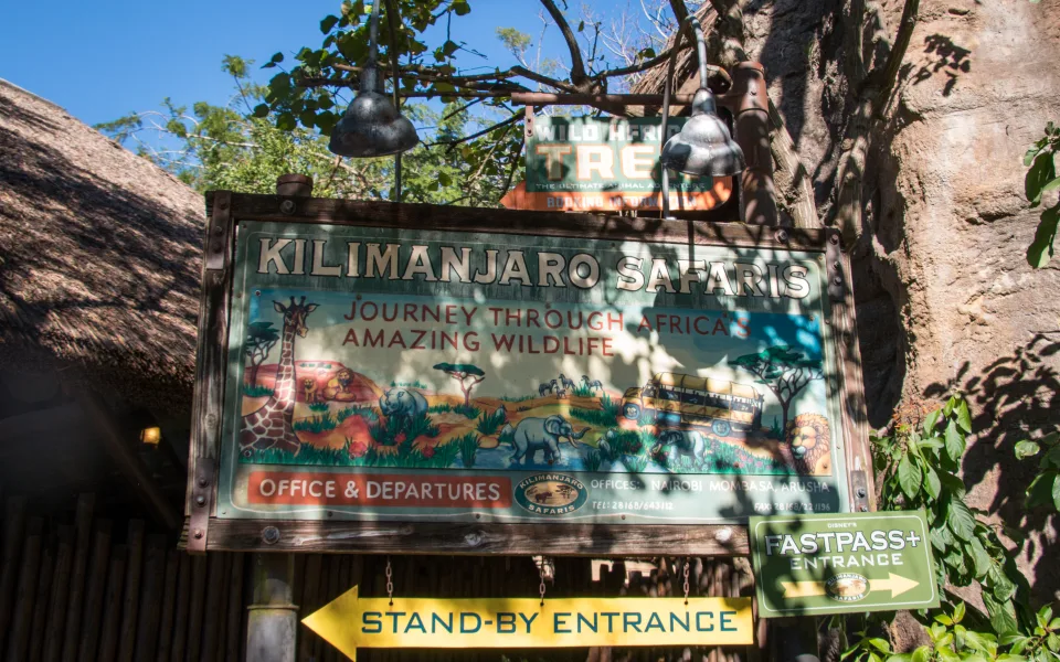 Foto 1 av Kilimanjaro Safaris