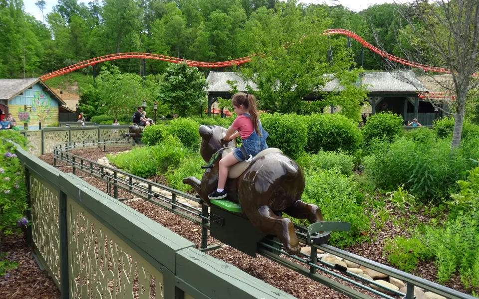 Photo 1 de Black Bear Trail