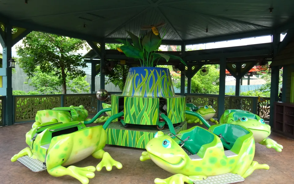 Photo 1 de Frogs & Fireflies
