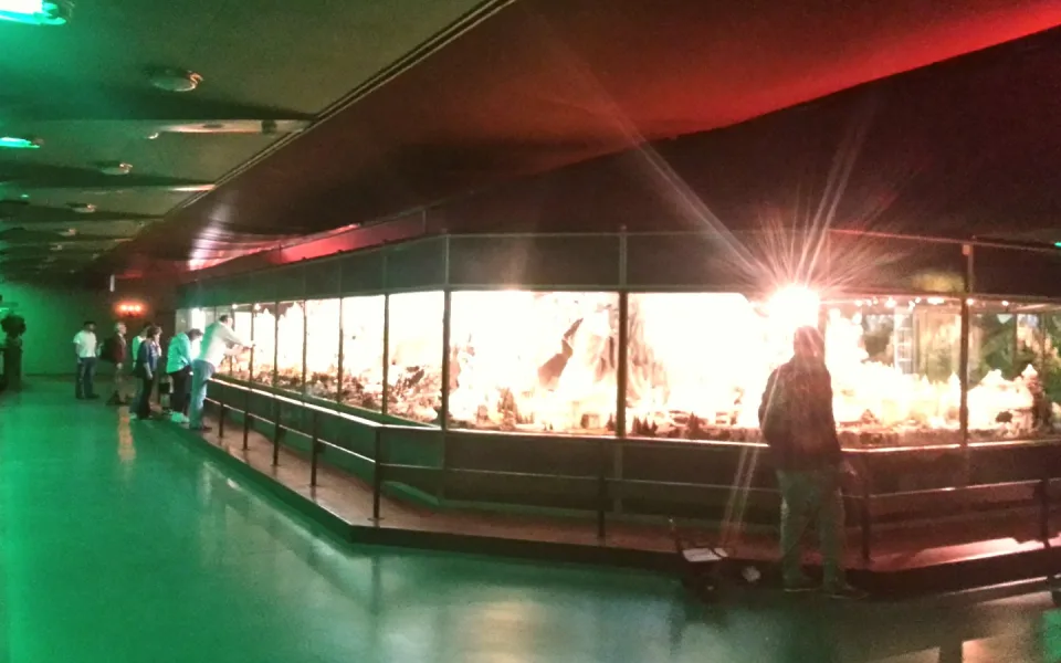 Photo 1 de Diorama
