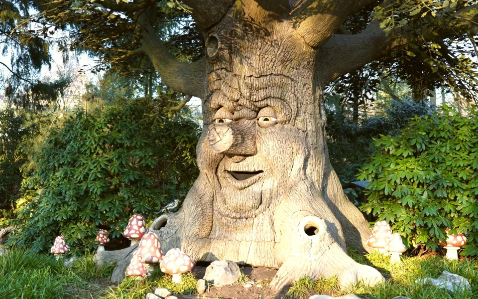 Photo 1 de Fairytale Forest